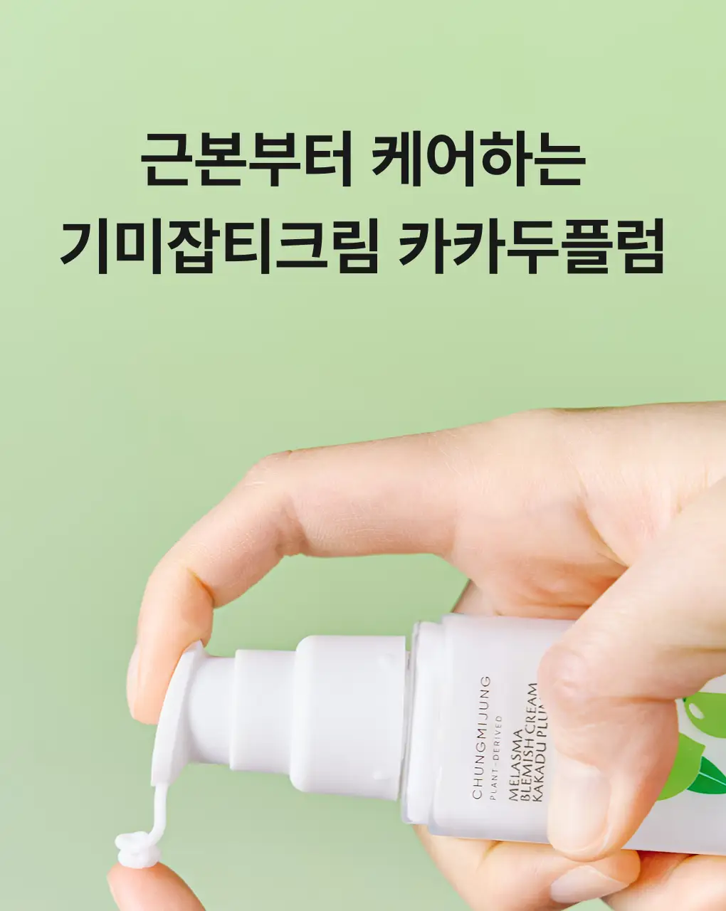 [색소침착/흔적] 청미정 기미잡티크림 카카두플럼 50g 상세페이지 8
